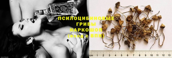 каннабис Магас