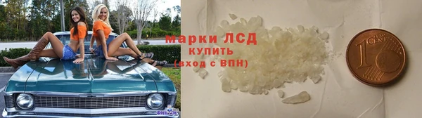 гидра Майский