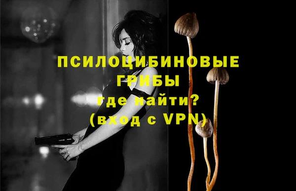 гидра Майский