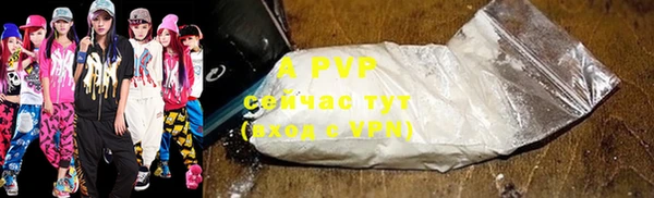 apvp Магадан