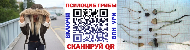 Галлюциногенные грибы прущие грибы  наркота  omg   Южа 